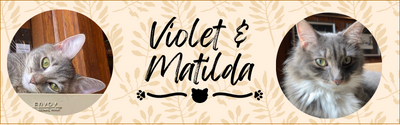 matilda and violet